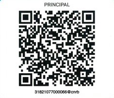 QR Code for Payment